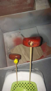 IMG-20250625-WA0033.jpeg