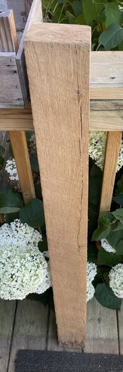 IMG_7641.jpeg