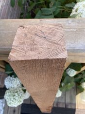IMG_7638.jpeg