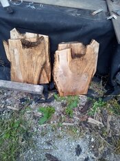 IMG_20250706_194349.jpg