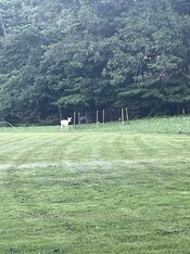 IMG_6551.jpeg