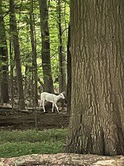 IMG_6564.jpeg