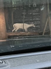 IMG_6569.jpeg