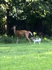 IMG_8515.jpeg