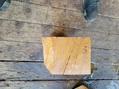 20250717_101444.jpg