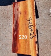 IMG_20250725_164400_HDR (1).jpg