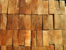 DSCN7903.webp