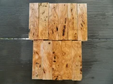 DSCN7916.webp