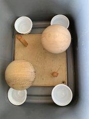 IMG_9312.jpeg