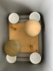IMG_9316.jpeg