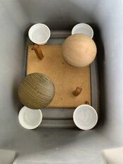 IMG_9320.jpeg