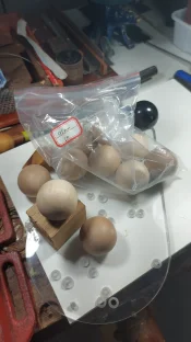 IMG-20250816-WA0022.jpeg