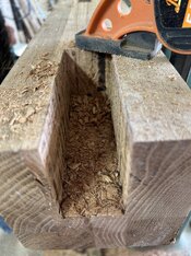 IMG_3245.jpeg