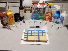 Stain Test Setup.webp