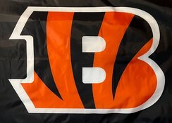 Bengals union.jpg