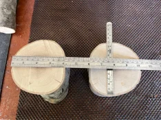 Big Holly 4.webp