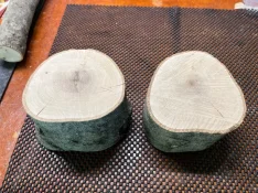 Big Holly 1.webp