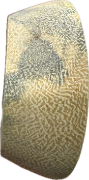 1758837899585.png