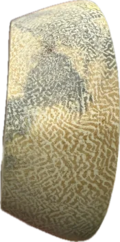 1758837899585.webp
