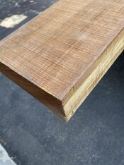 IMG_8073.jpeg