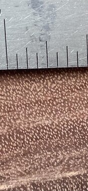 IMG_8075.jpeg