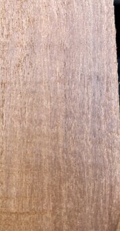IMG_8077.jpeg