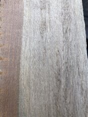 IMG_8078.jpeg