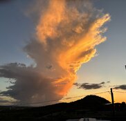 IMG_6465.jpeg