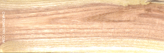 test_10157gif.gif