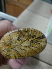 thumbnail (11).jpg