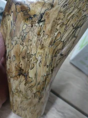thumbnail (15).webp