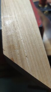 IMG-20251013-WA0072.jpeg