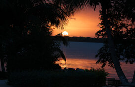 sunrisefromdininghall.jpg