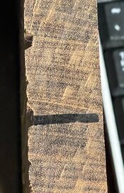 IMG_7508.jpeg
