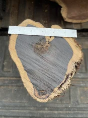 IMG_8639.webp