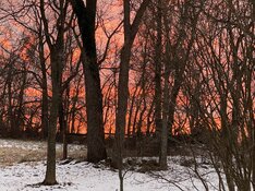 IMG_2883.jpeg