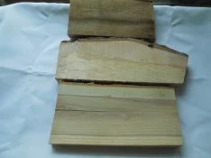 1765997508412.webp