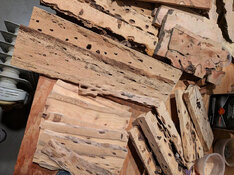 cholla and palo verde from Jerry.jpg