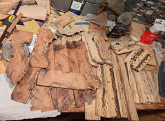 cholla palo verde and others from Jerry.jpg