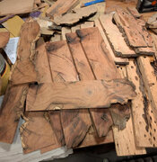 unkown wood from Jerry.jpg