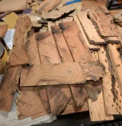 unkown wood from Jerry.jpg