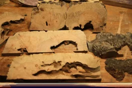 palo verde burl.webp