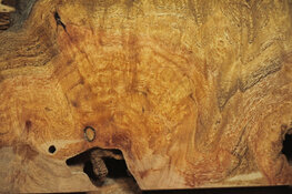 palo verde slice B wetted.jpg