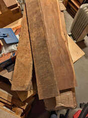 mango and mile from Chris.jpg