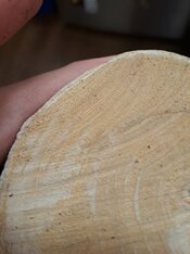 20251225_104520.jpg
