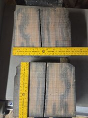 1000019350.jpg