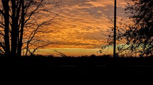 PXL_20260104_225438320~2.jpg