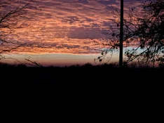 PXL_20260104_225550875.NIGHT~2.webp