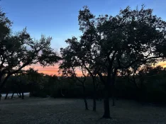 IMG_3413.jpeg