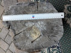 aspen stump top.jpg